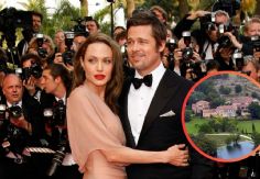 Brad Pitt da nuevo golpe legal contra Angelina Jolie por la venta de un viñedo que compartieron