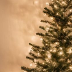 ¿Qué significan las luces en los árboles de Navidad? Una tradición que ilumina las fiestas