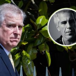 ¿Jeffrey Epstein y el príncipe Andrés tenían relación cercana?; un correo desencadenó el escándalo