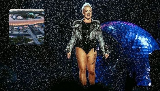 ¡Pink regresa a México!; la cantante vuelve a nuestro país después de más de 15 años