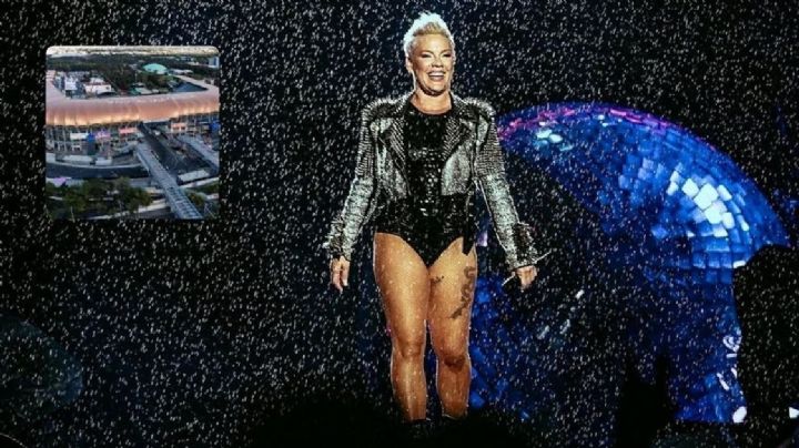 ¡Pink regresa a México!; la cantante vuelve a nuestro país después de más de 15 años