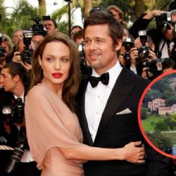 Brad Pitt da nuevo golpe legal contra Angelina Jolie por la venta de un viñedo que compartieron