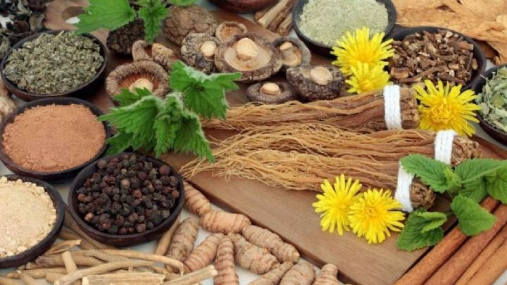 ¿Qué son los adaptógenos y por qué están ganando tanta atención?