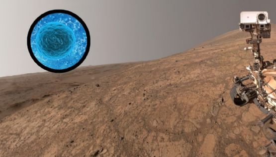 Un hallazgo inesperado en la NASA reabre dudas sobre la exploración espacial