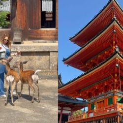 Geraldine Bazán vive insólita experiencia con un ciervo en Kyoto | VIDEO