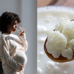 Búlgaros de leche: el secreto natural para mejorar tu digestión y fortalecer tu cuerpo