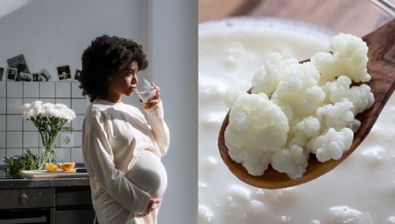 Búlgaros de leche: el secreto natural para mejorar tu digestión y fortalecer tu cuerpo