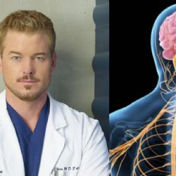 Eric Dane, actor de 'Grey's Anatomy', va perdiendo movilidad a causa de enfermedad