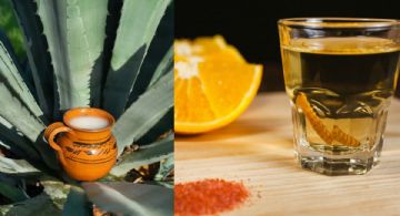 Llega la Feria del Pulque y el Mezcal: descubre cuándo, dónde y todo lo que habrá