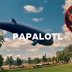 El cielo nocturno se llenará de luces: ¿donde será el festival más brillante del verano?