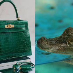 Hermès: las carteras hechas con piel de cocodrilo de las que todos están hablando