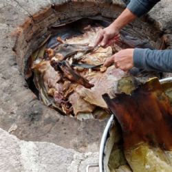 Lánzate al Festival de la Barbacoa en Hidalgo y prueba la mejor carne del país