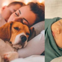 ¿Hijos o perrijos? Por esta razón las parejas prefieren tener mascotas