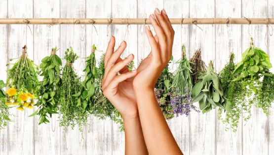 ¿Uñas débiles? Estas plantas naturales te ayudarán a lucir una manicura fuerte y hermosa este verano