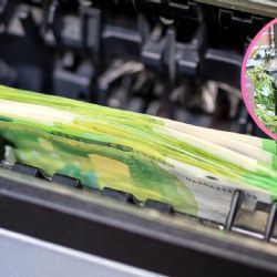 ¿Preocupada por tu retiro?, esta es la nueva medida de precaución que debes conocer