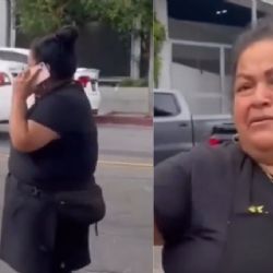 MOMENTO EXACTO en que mujer llama a ICE para que detengan a vendedores; se llevan a su hija