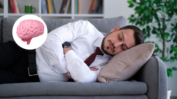 Una siesta puede darte la solución a un problema, la ciencia lo confirma