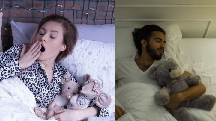 ¿Es bueno dormir con peluches siendo adulto? ayudan a sanar heridas de la infancia