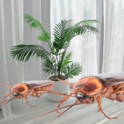 ¿Tienes esta planta? Podrías estar atrayendo cucarachas a tu casa