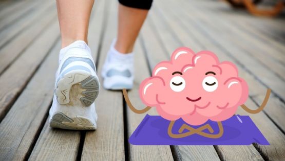 ¿Por qué caminar 30 minutos al día puede cambiar tu cerebro? Esto dice la ciencia