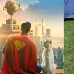 Superman no brilla solo: Krypto inspira un boom de adopciones de perros alrededor del mundo