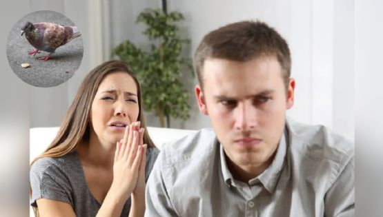 ¿Por qué eres tan migajera?, la psicología explica qué hay detrás de este comportamiento afectivo