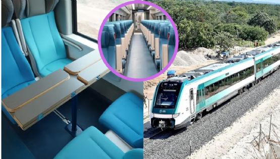 El Tren Maya lanza paquetes turísticos desde 16 mil pesos; ¡aventúrate en el Caribe maya!