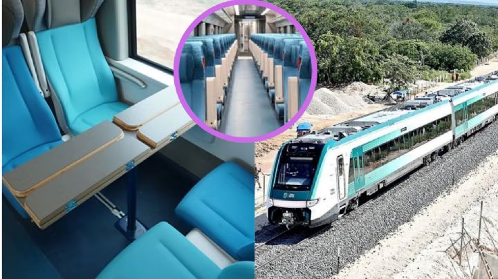 El Tren Maya lanza paquetes turísticos desde 16 mil pesos; ¡aventúrate en el Caribe maya!