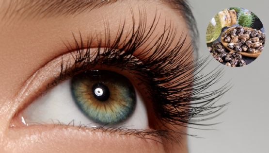 Descubre el secreto natural para pestañas fuertes y sin extensiones