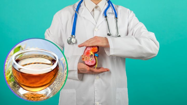 El té que no sabías que necesitabas; es un aliado inesperado que cuida tus riñones naturalmente