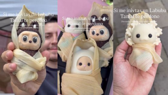 ¿Tamales de ternurines y capibaras?, sólo en México, conoce este peculiar concepto | VIDEO