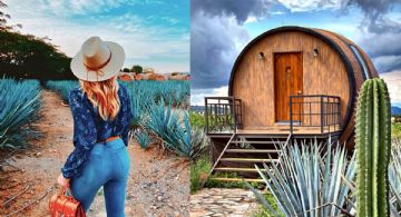 ¿Te atreves a dormir en una barrica? Este hotel ofrece la experiencia más instagrameable de México