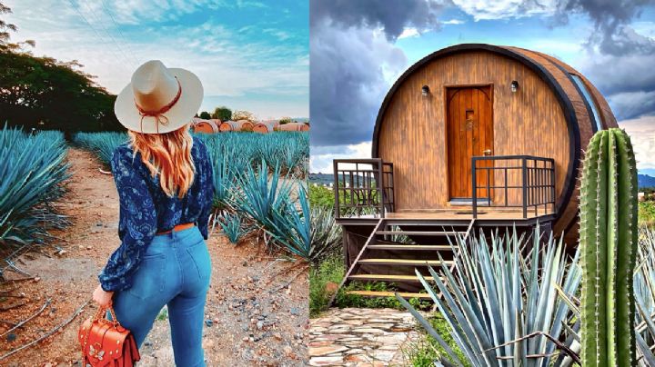 ¿Te atreves a dormir en una barrica? Este hotel ofrece la experiencia más instagrameable de México