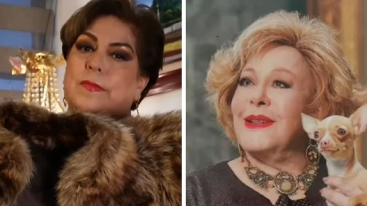 Así reaccionó 'Cosita', la perrita de Silvia Pinal, al olfatear un abrigo de la primera actriz | VIDEO
