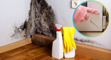 Cómo eliminar el moho de tus paredes en temporada de lluvias; el remedio casero que sí funciona