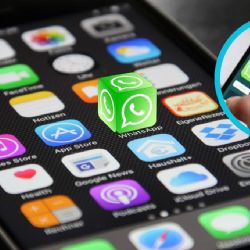 Whatsapp: cómo liberar memoria de tu teléfono desde la papelera de la app