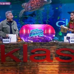 Mar Contreras es la primera finalista de La Casa de los Famosos México; así se vivió la última Gala